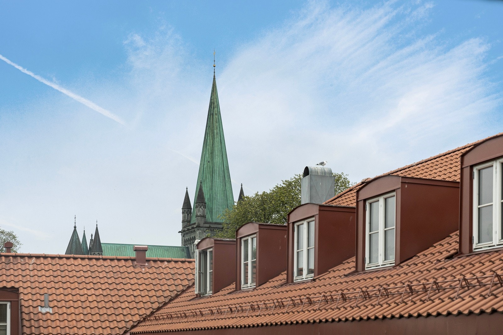 Fint utsyn mot spiret av Nidarosdomen - et historisk symbol for byen. Galleribilde