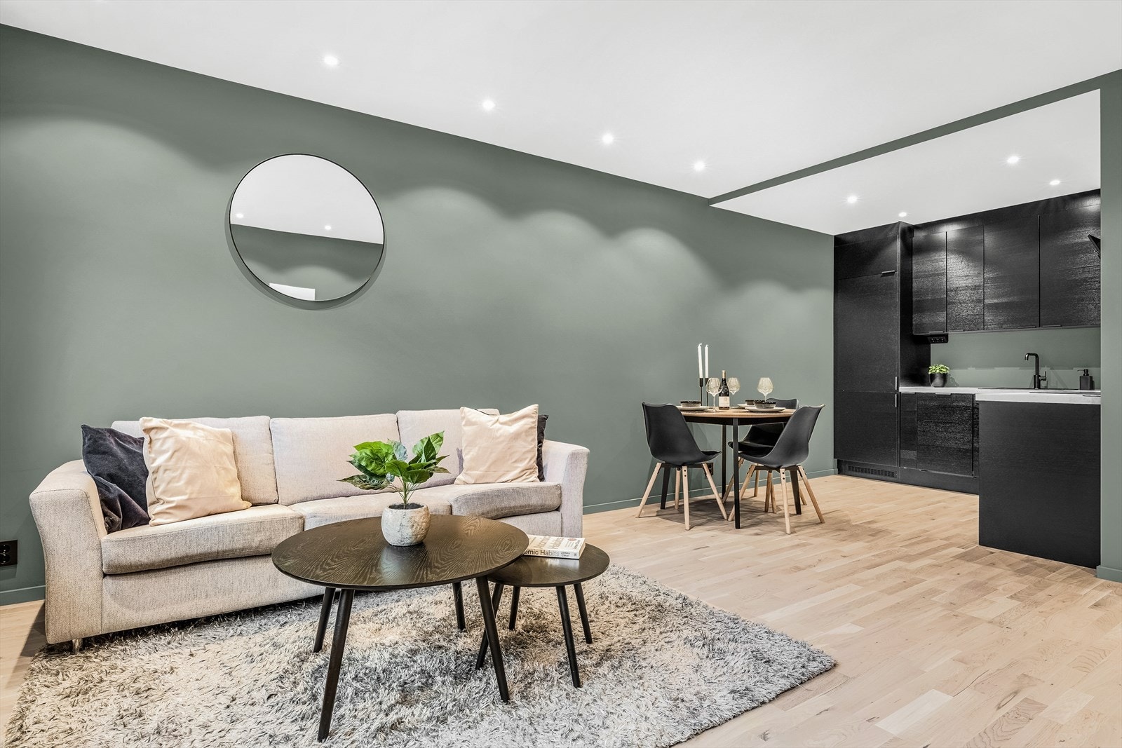 Dette er en totaloppusset to-roms leilighet i et attraktivt boområde med kort vei til alt byen har å by på! Galleribilde