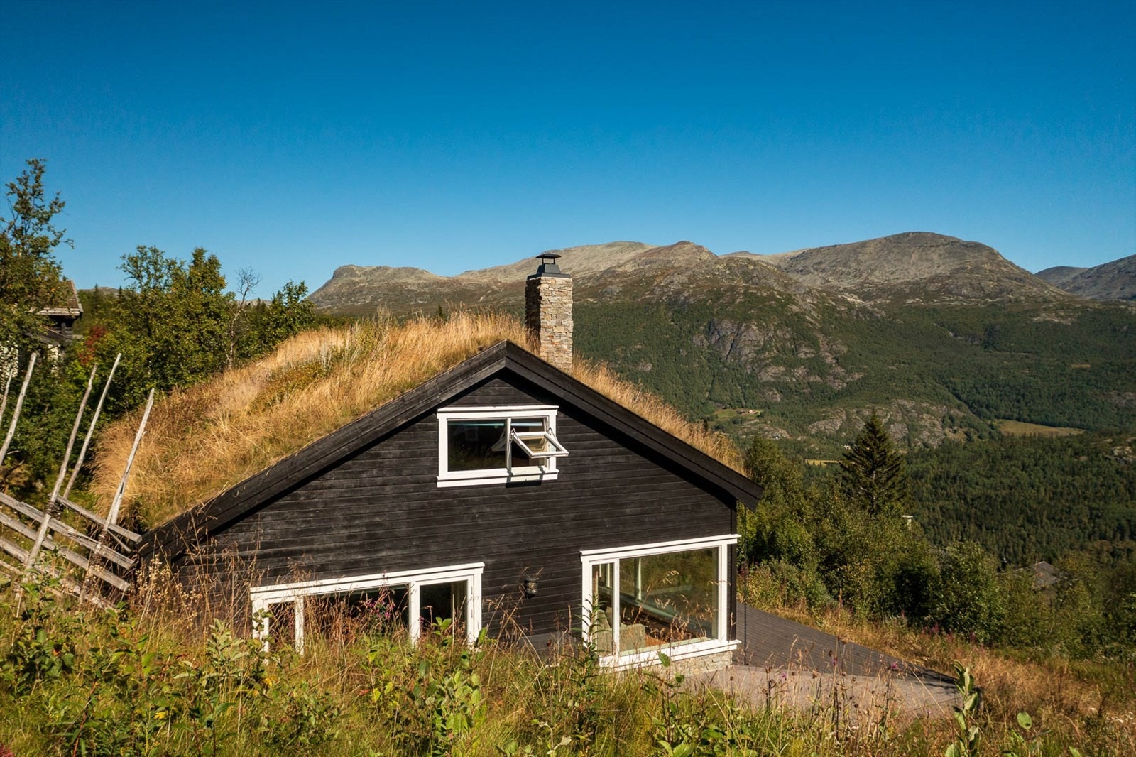 Sommerbilder "skutt" i vakre august Galleribilde