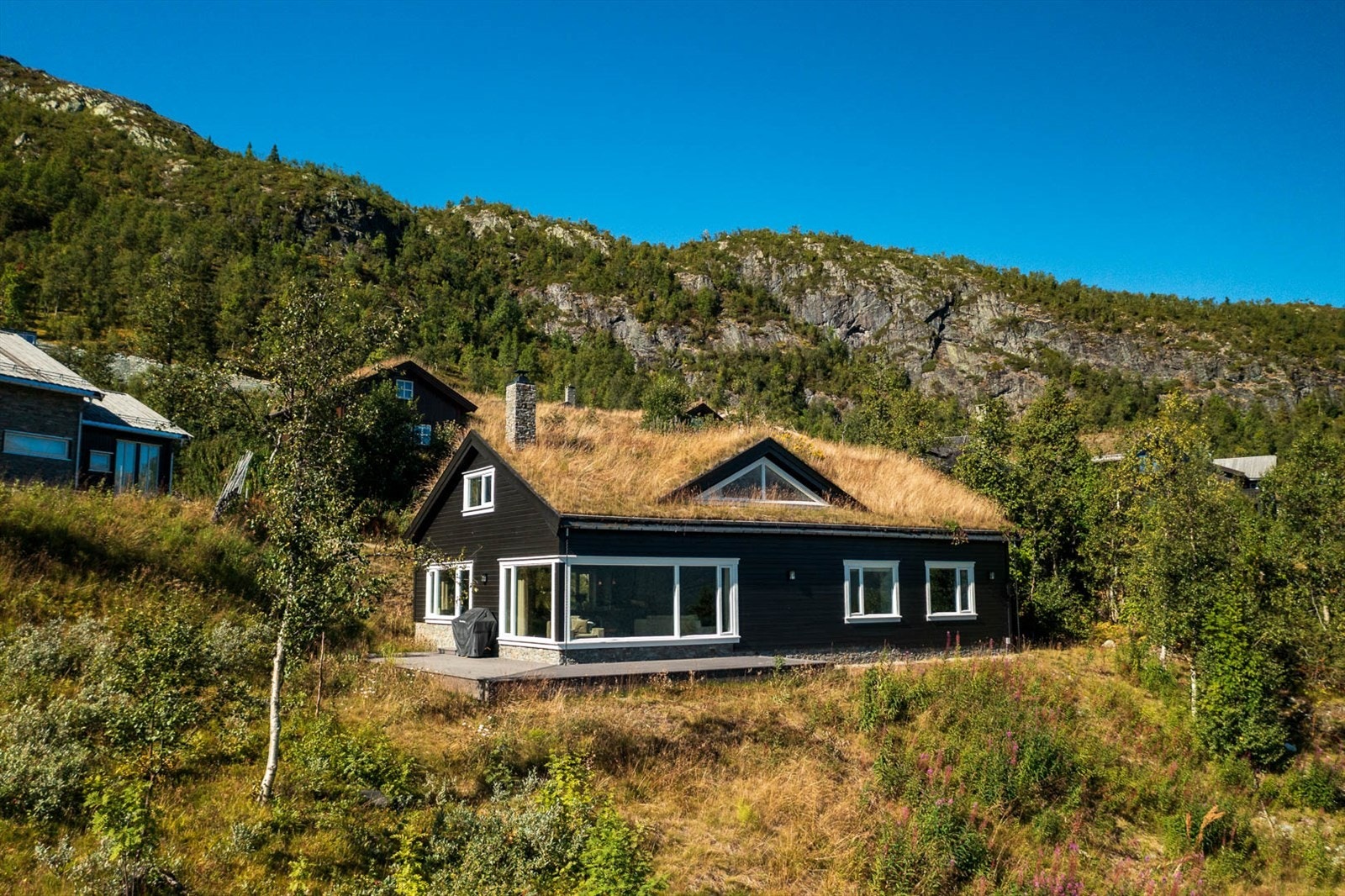 Naturtomt Galleribilde