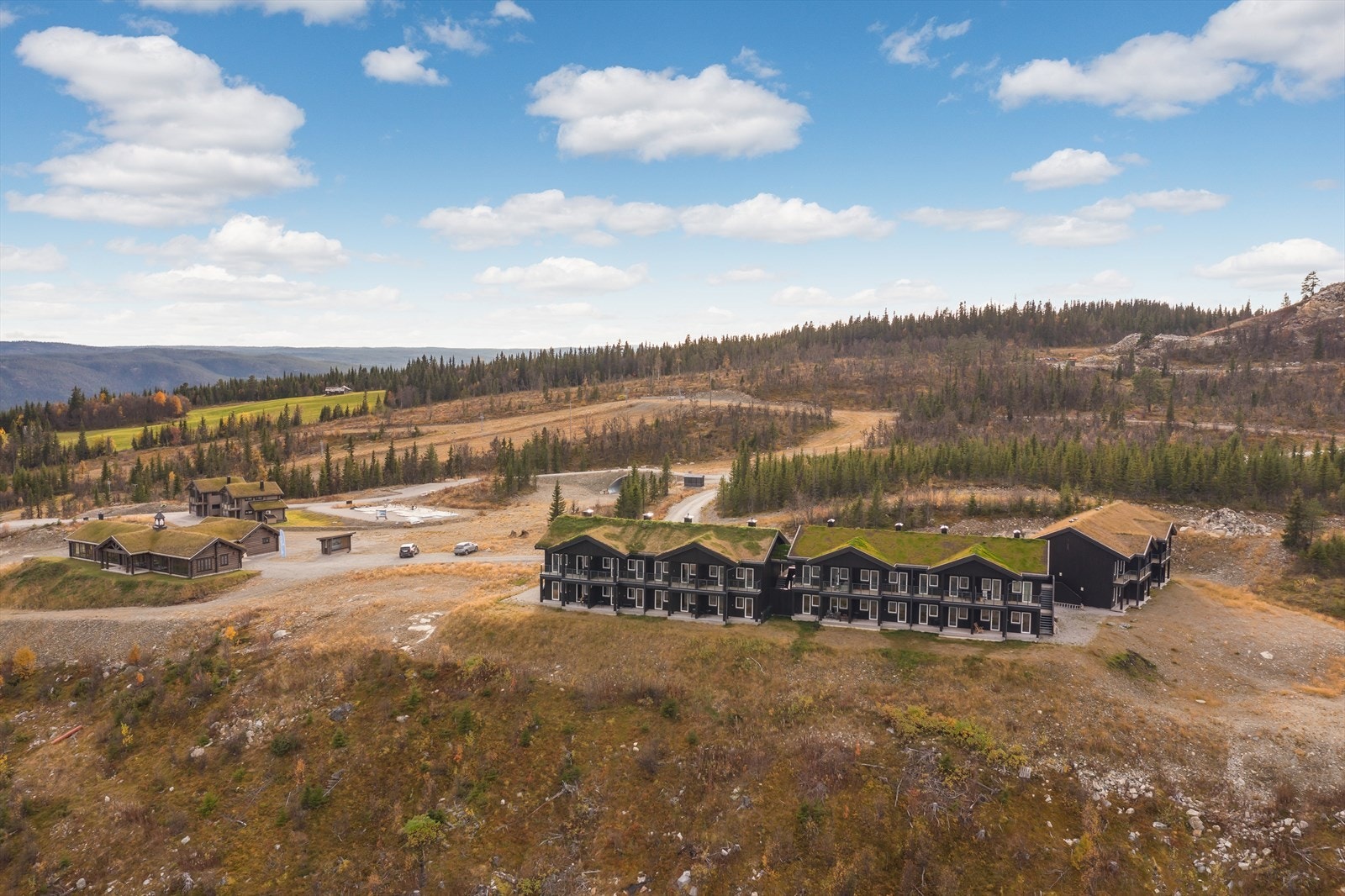 Vinterstid er det ski- inn/ ski- ut både på alpint og langrenn fra leiligheten. Galleribilde