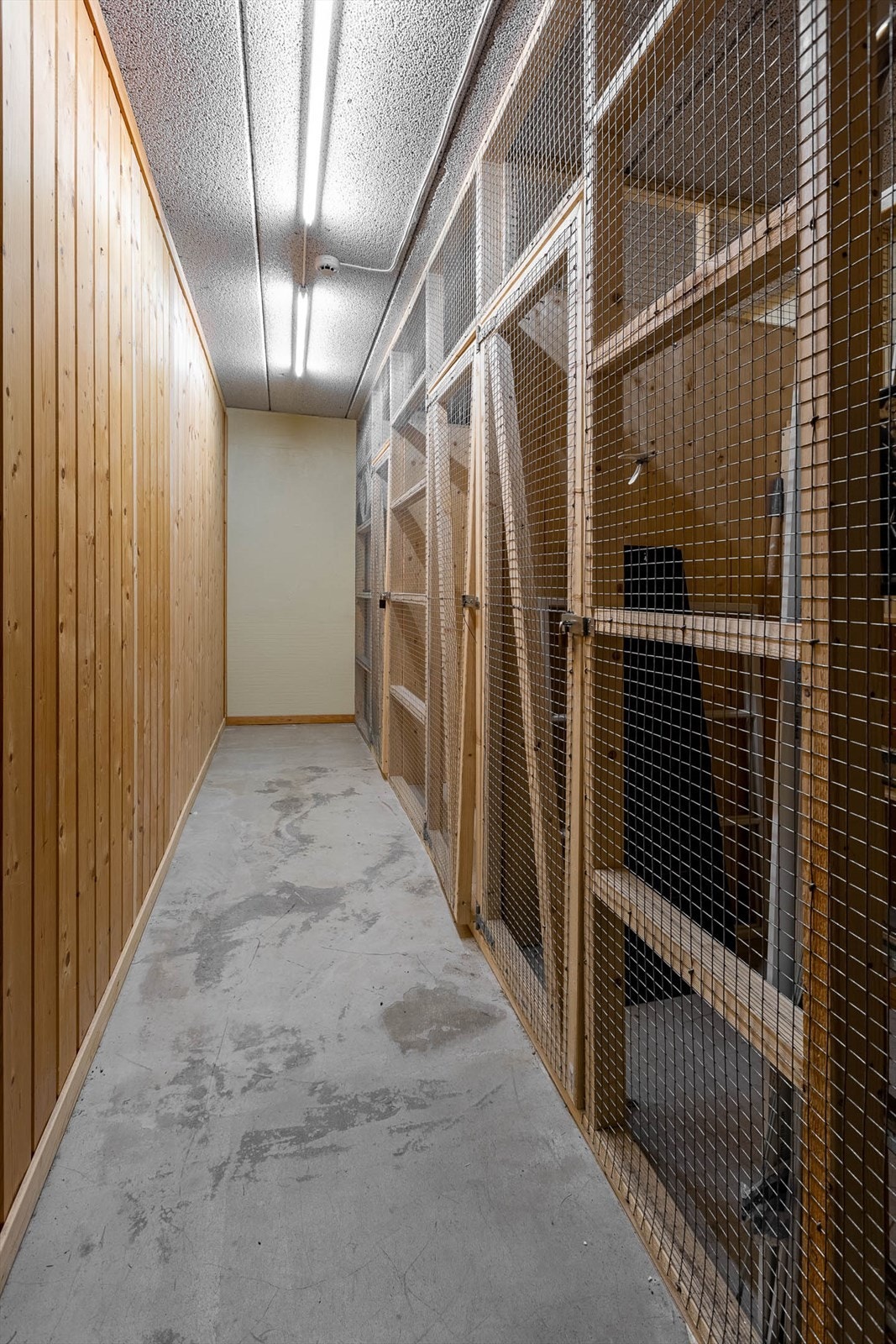 Romslig sportsbod. Galleribilde