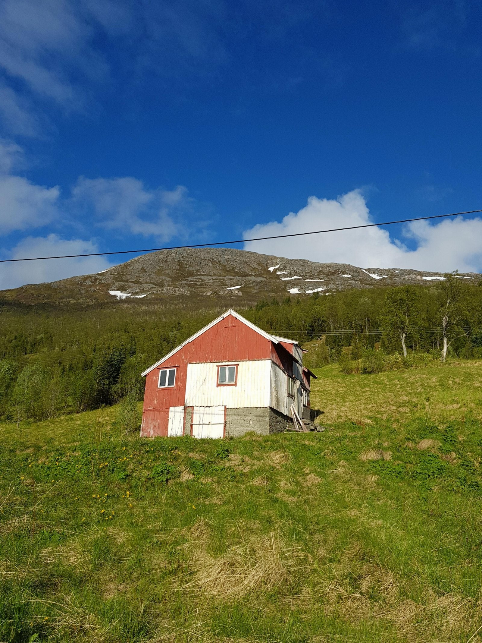 På tomta står det en fjøs, sjå, naust og en bod mellom naust og sjå!