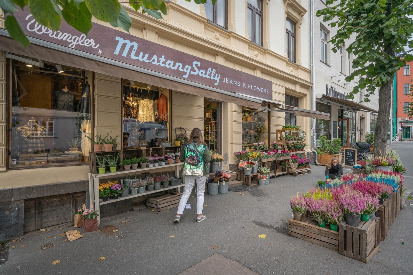 Mustang Sally Galleribilde