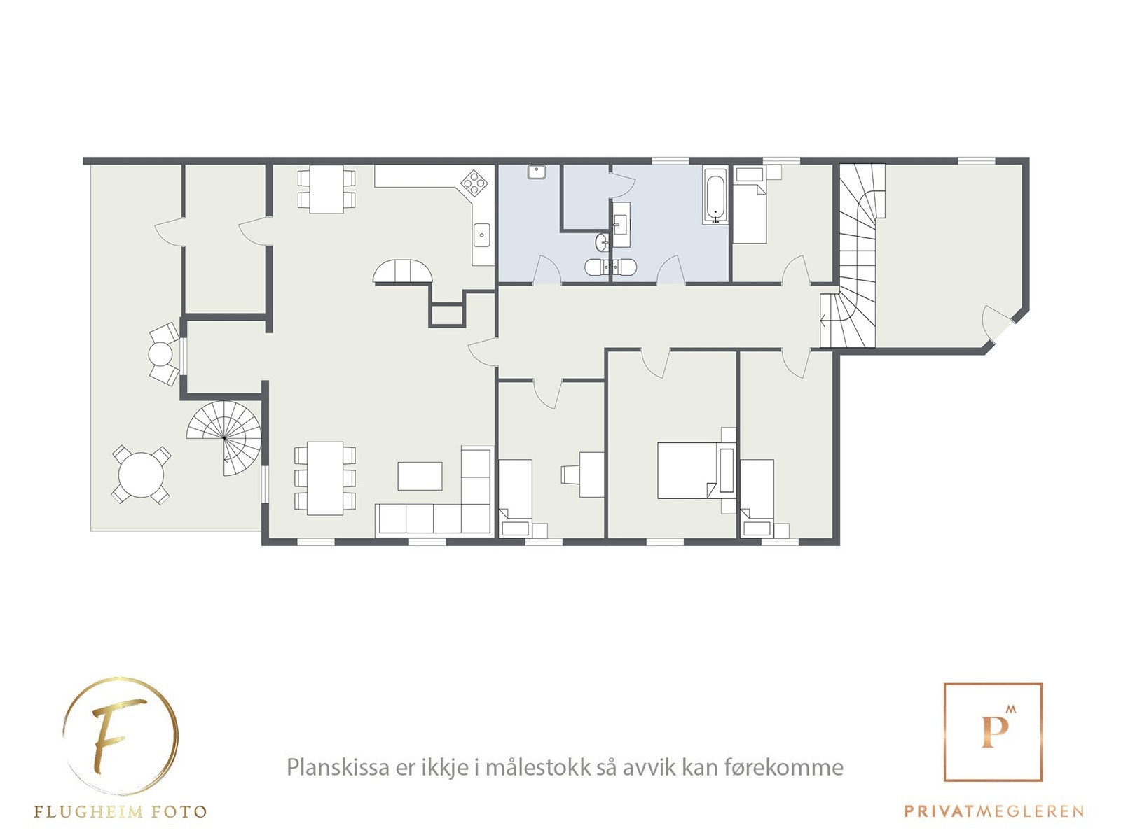 Planteikning Galleribilde