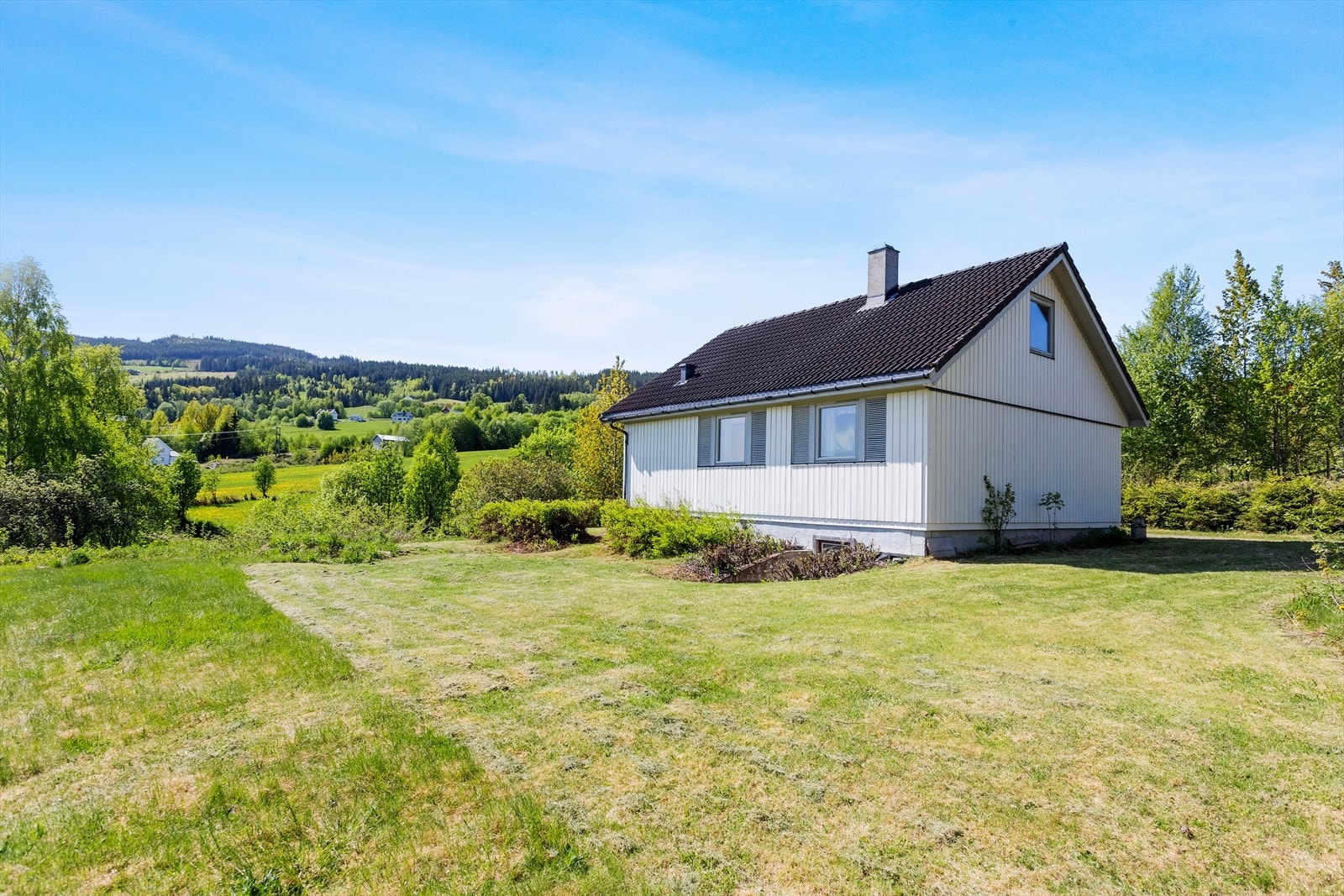 Romslig og flat gressplen. Galleribilde