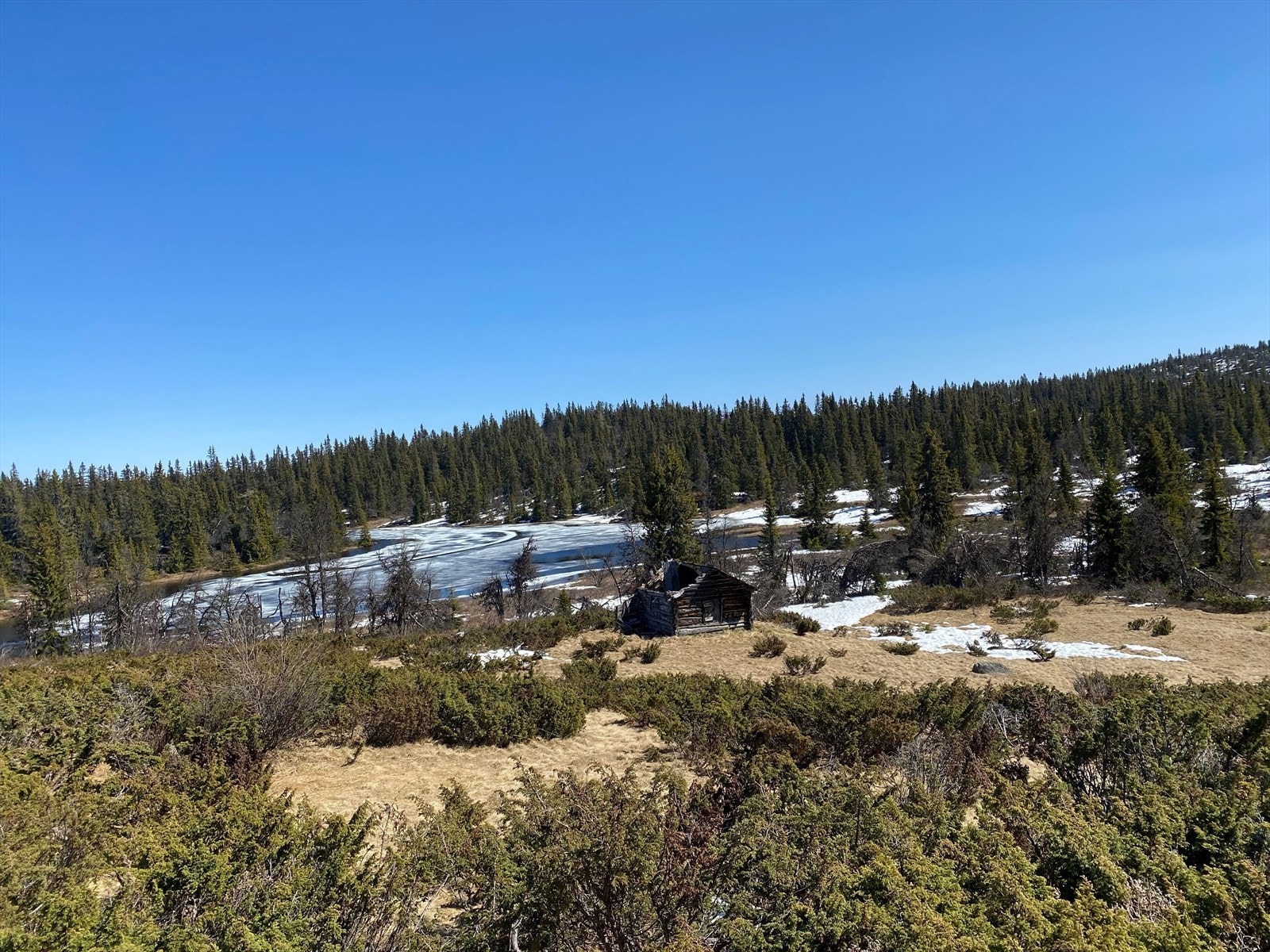 Med eiendommen følger en tidligere løe og skogteig på Timannsstølen ved Nysetåsen. (Selgers eget bilde) Galleribilde