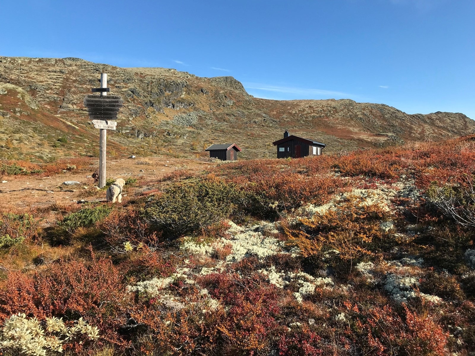 Bingsbu - fint turmål fra hytta.jpg Galleribilde