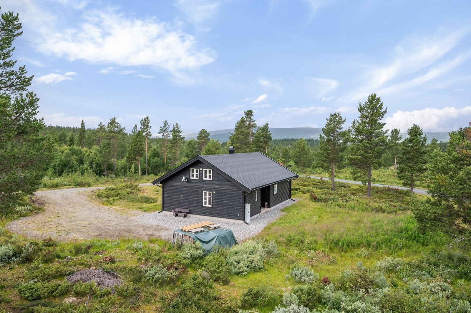 Nærområde Galleribilde