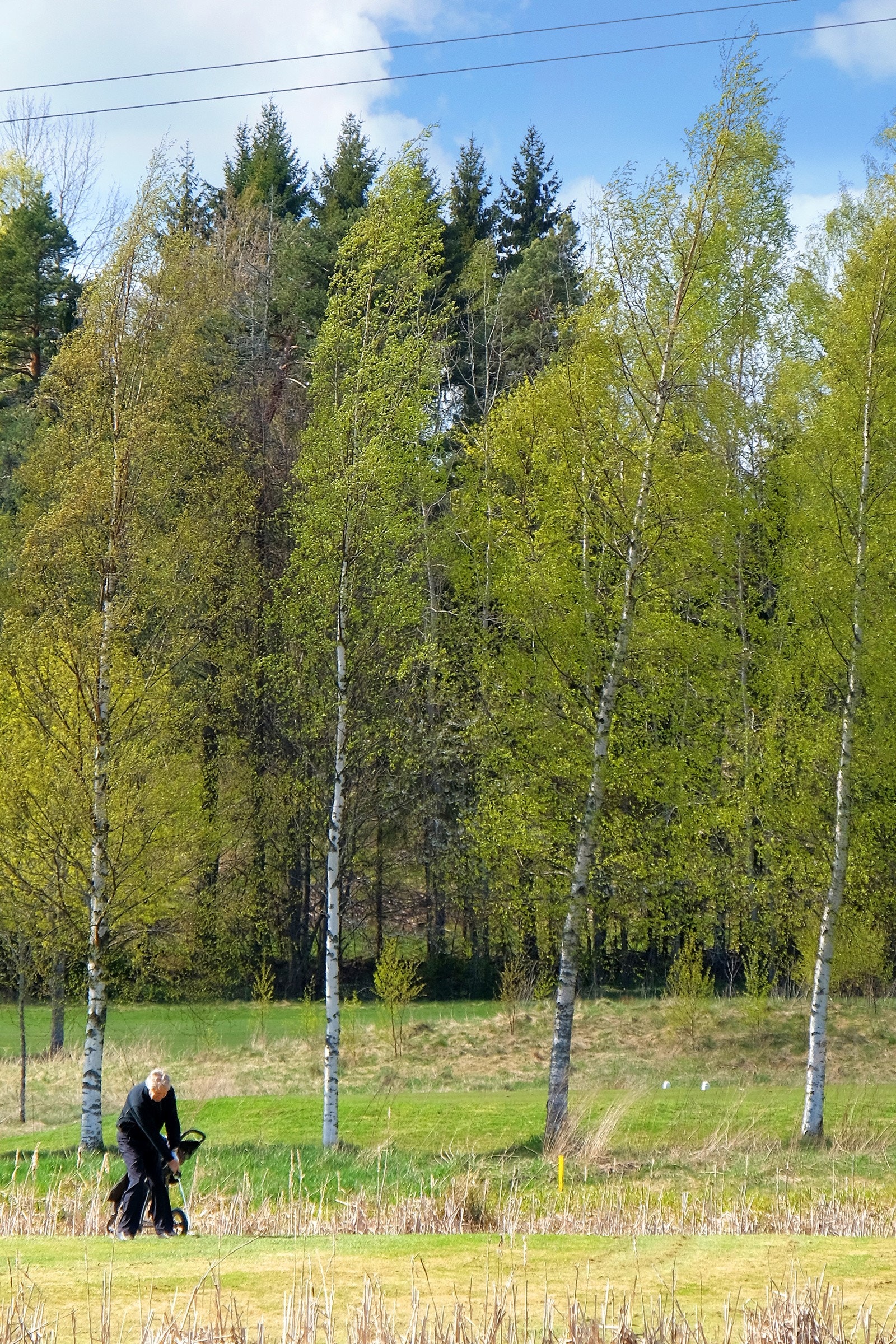 Det er flott turmuligheter rundt Borre golfbane for de som ikke spiller golf. Galleribilde