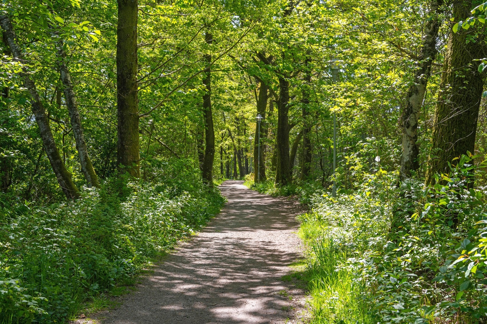 Her er fine turtraseer som passer like godt for joggeturer og rolige trilleturer med barnevogn. Galleribilde