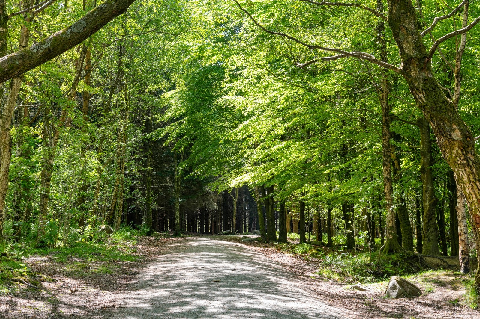 Huset har nærhet til gode tur- og rekreasjonsområder, og Rundeskogen ligger ca. 500 meter unna. Galleribilde
