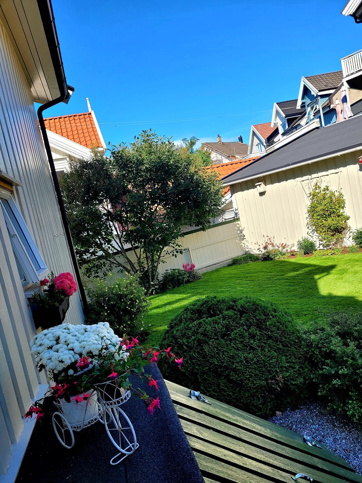 Hagen en herlig sommerdag. Galleribilde