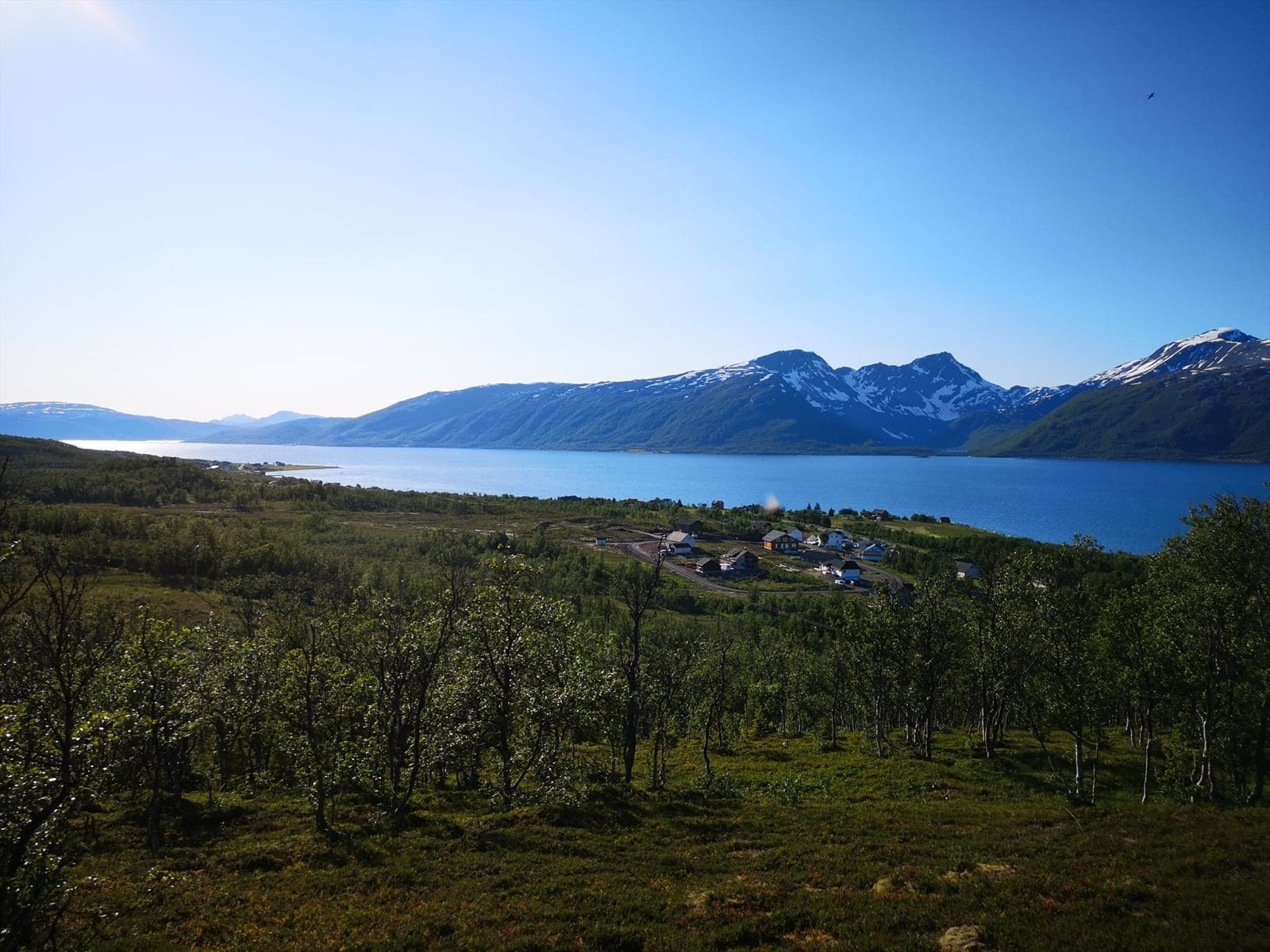 Selgers egne bilder Galleribilde