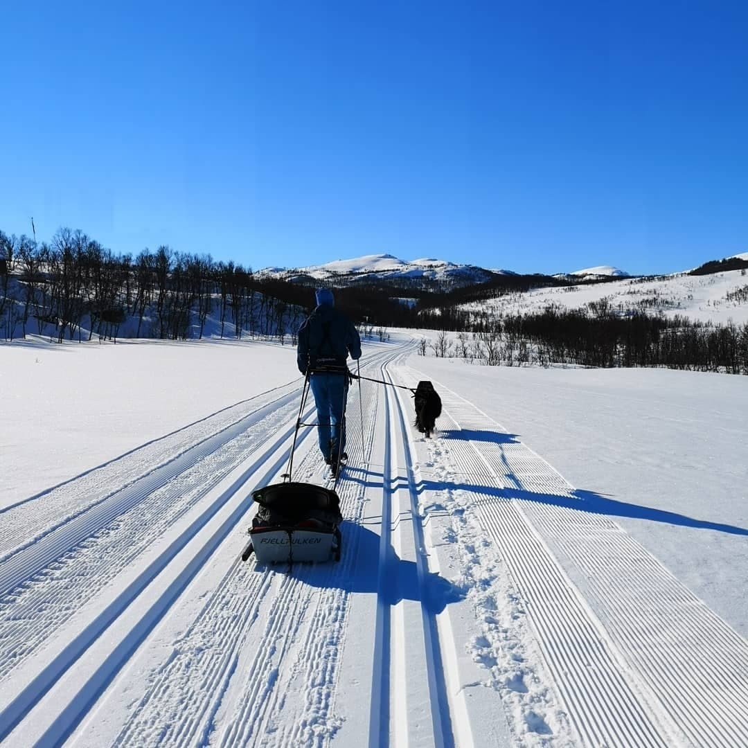 Selgers egne bilder Galleribilde