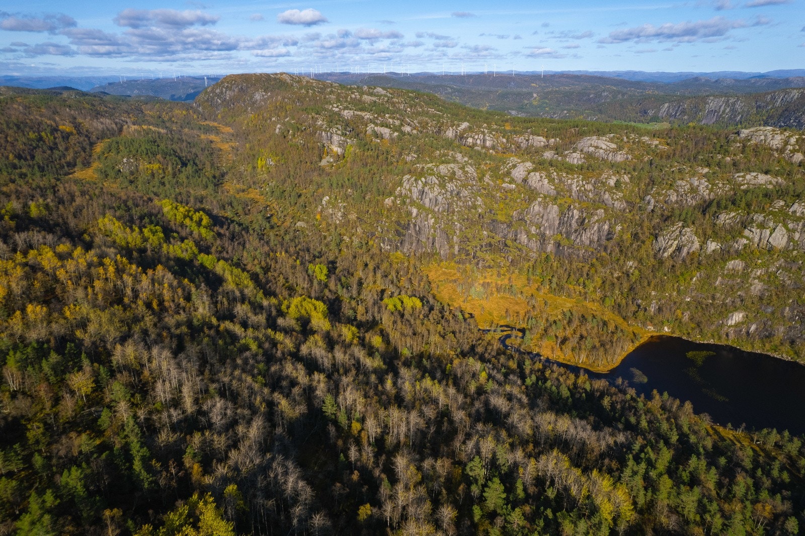 Dronebilde 13 Galleribilde