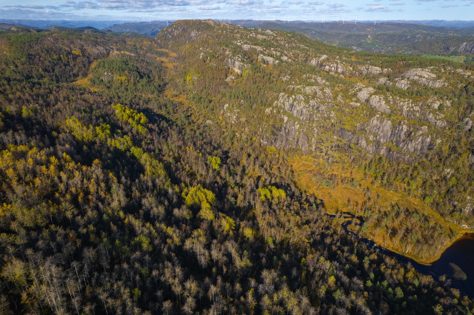 Dronebilde 14 Galleribilde