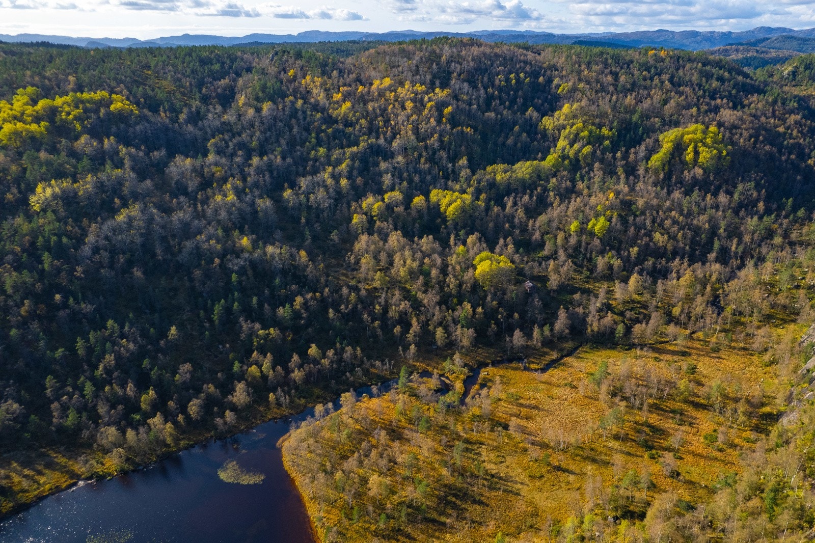 Dronebilde 6 Galleribilde