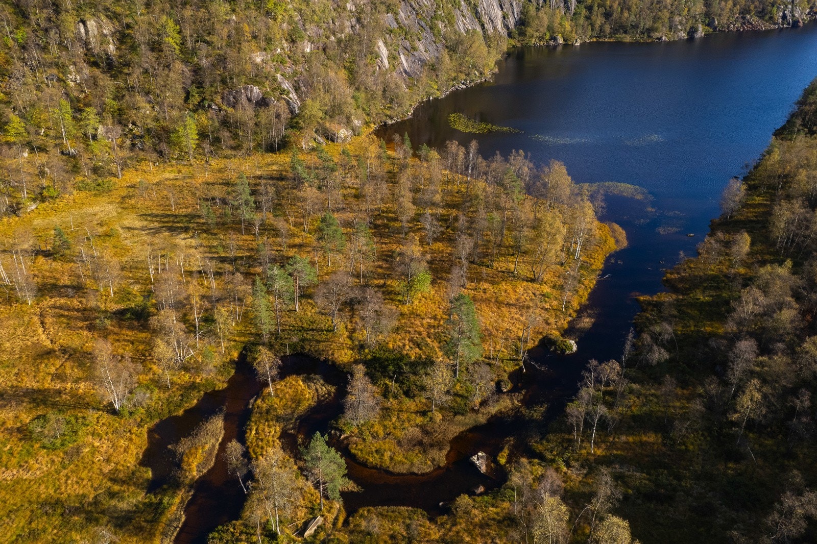 Dronebilde 2 Galleribilde