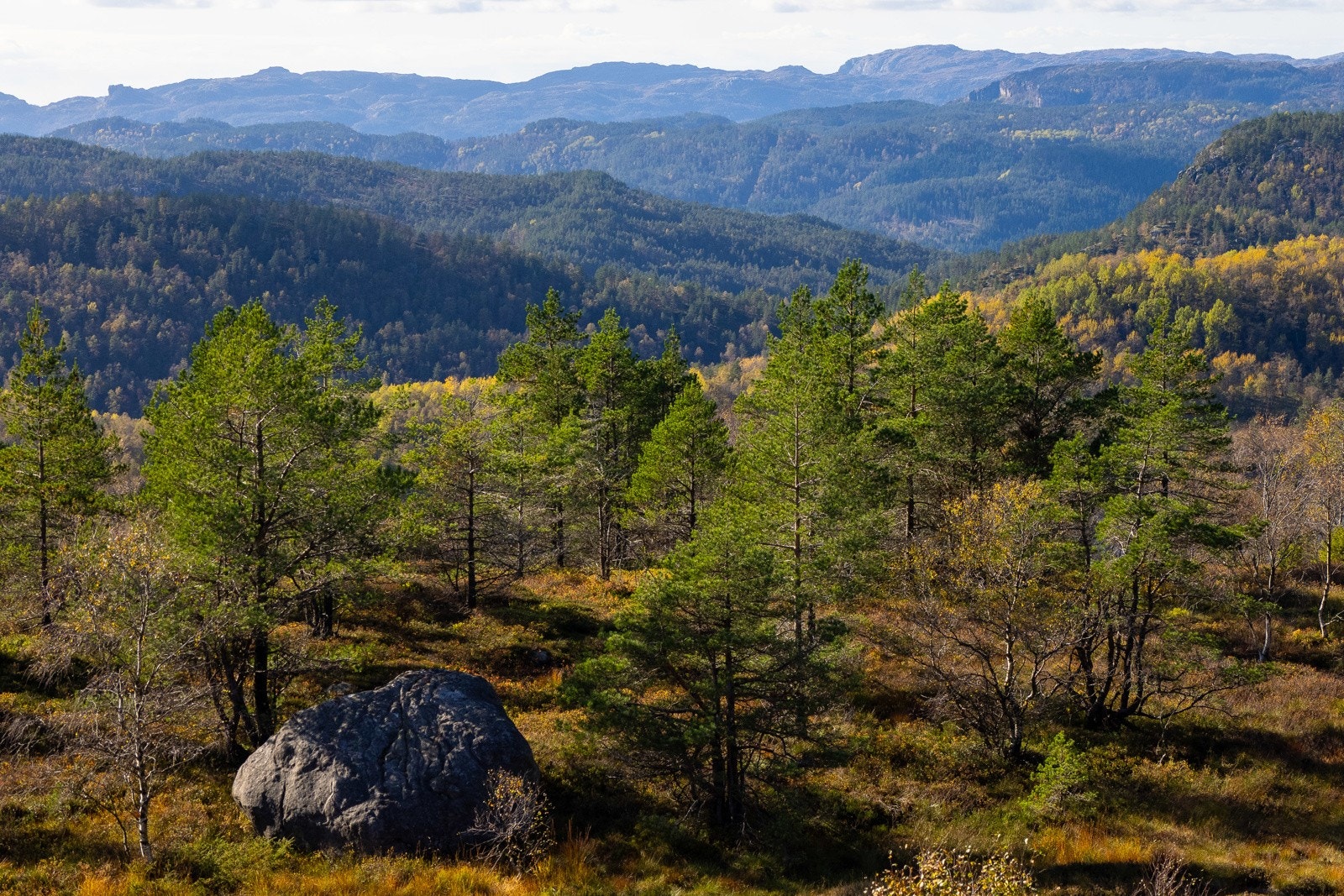 Dronebilde 8 Galleribilde