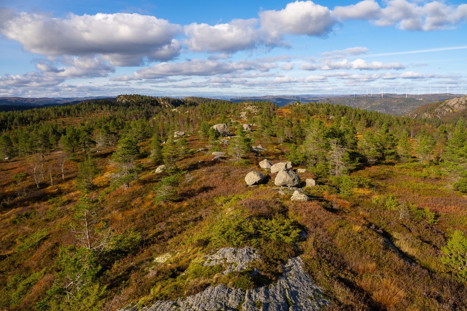 Dronebilde 9 Galleribilde