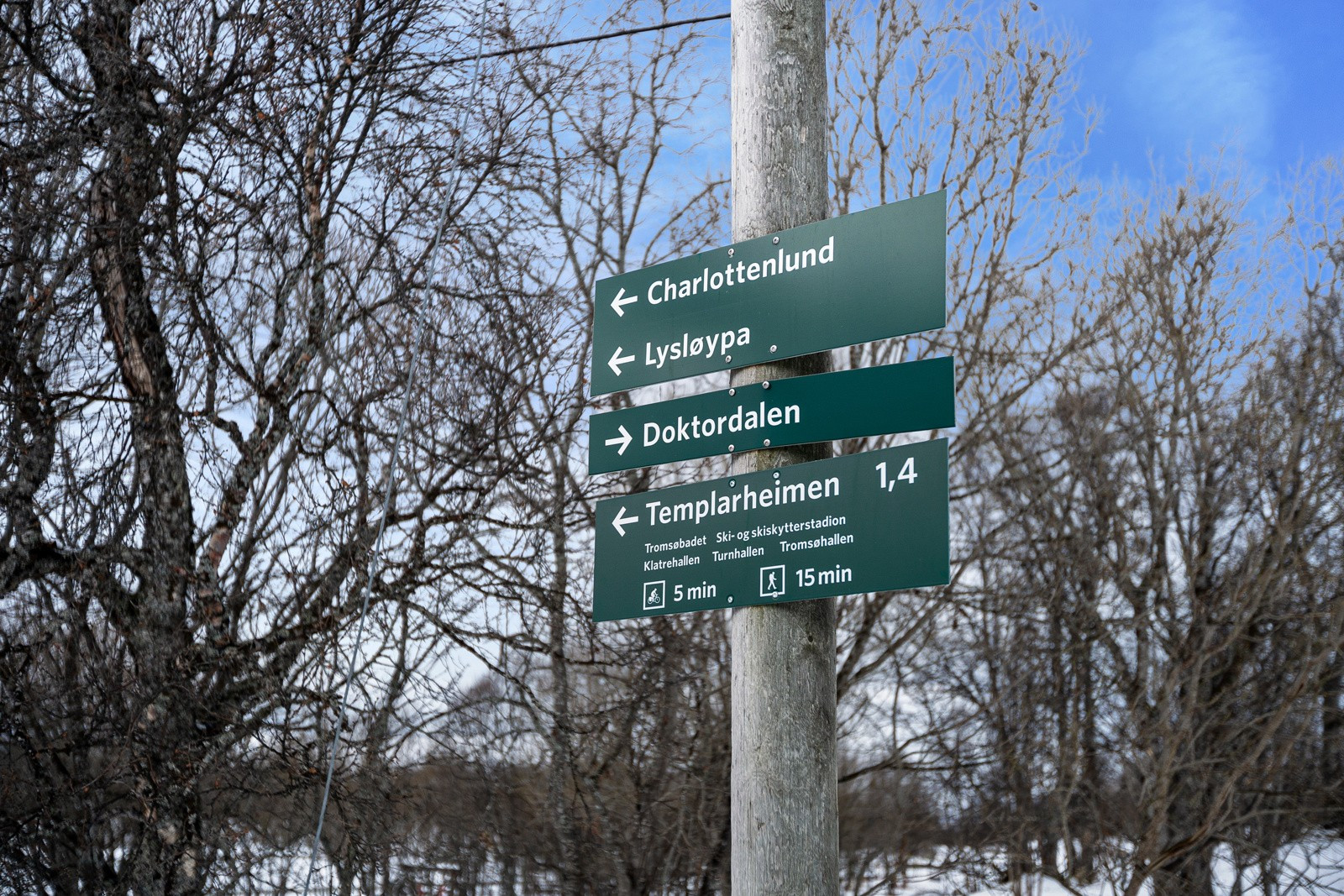 Det er også flere turmuligheter i området - som her ved lysløypa og Charlottenlund.