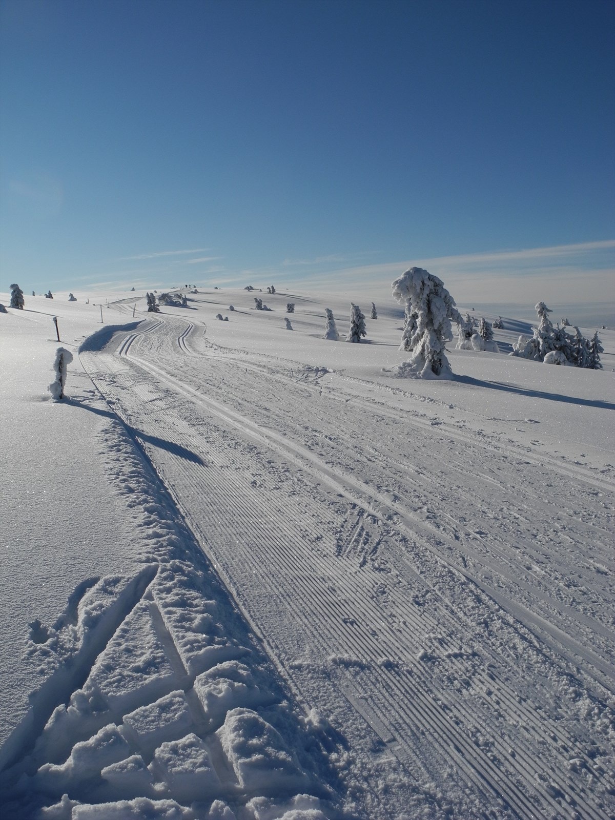 Det er topp forhold på Sjusjøen om dagen og skisesongen er tidlig i gang. Her er det bare å spenne på seg skia! Galleribilde
