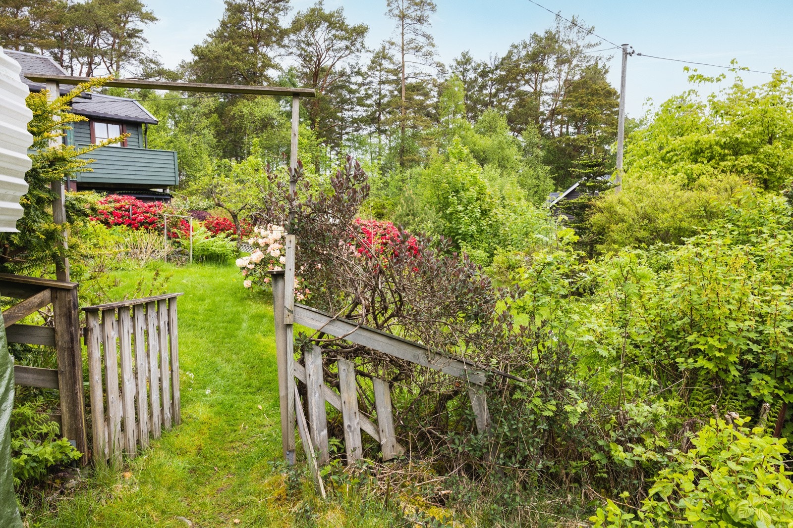Gangvei gjennom tunet Galleribilde