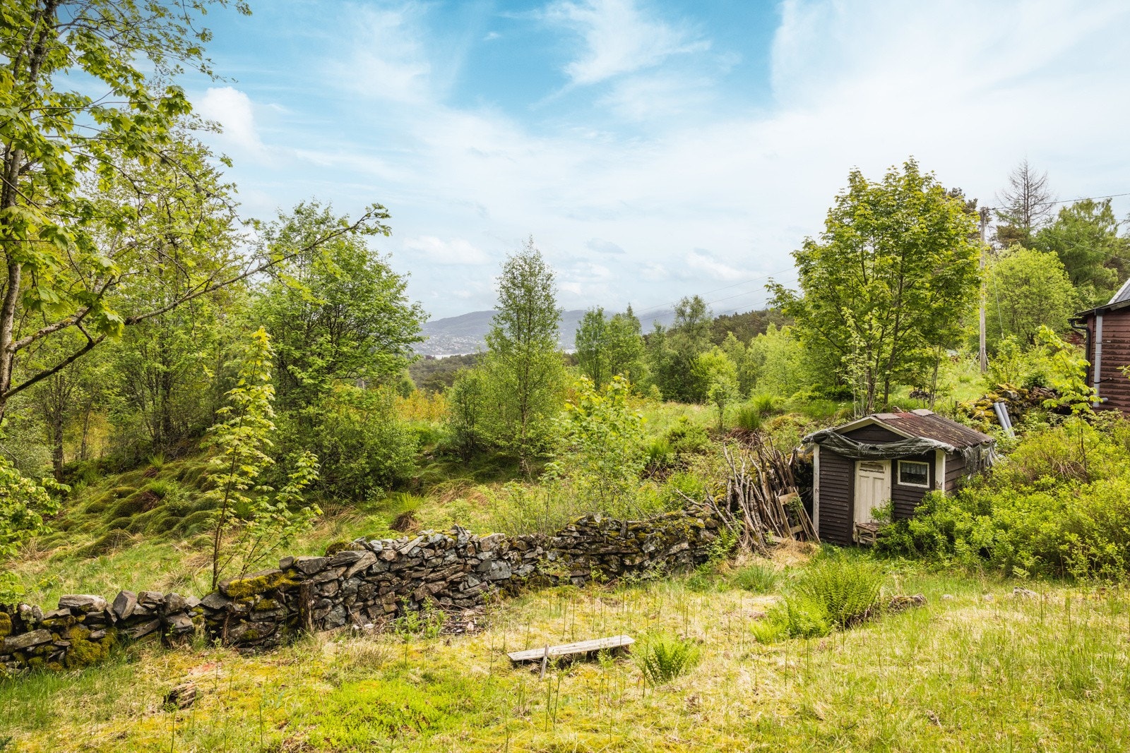 Relativt flat hage med kort vei rett ut i fin natur. Galleribilde