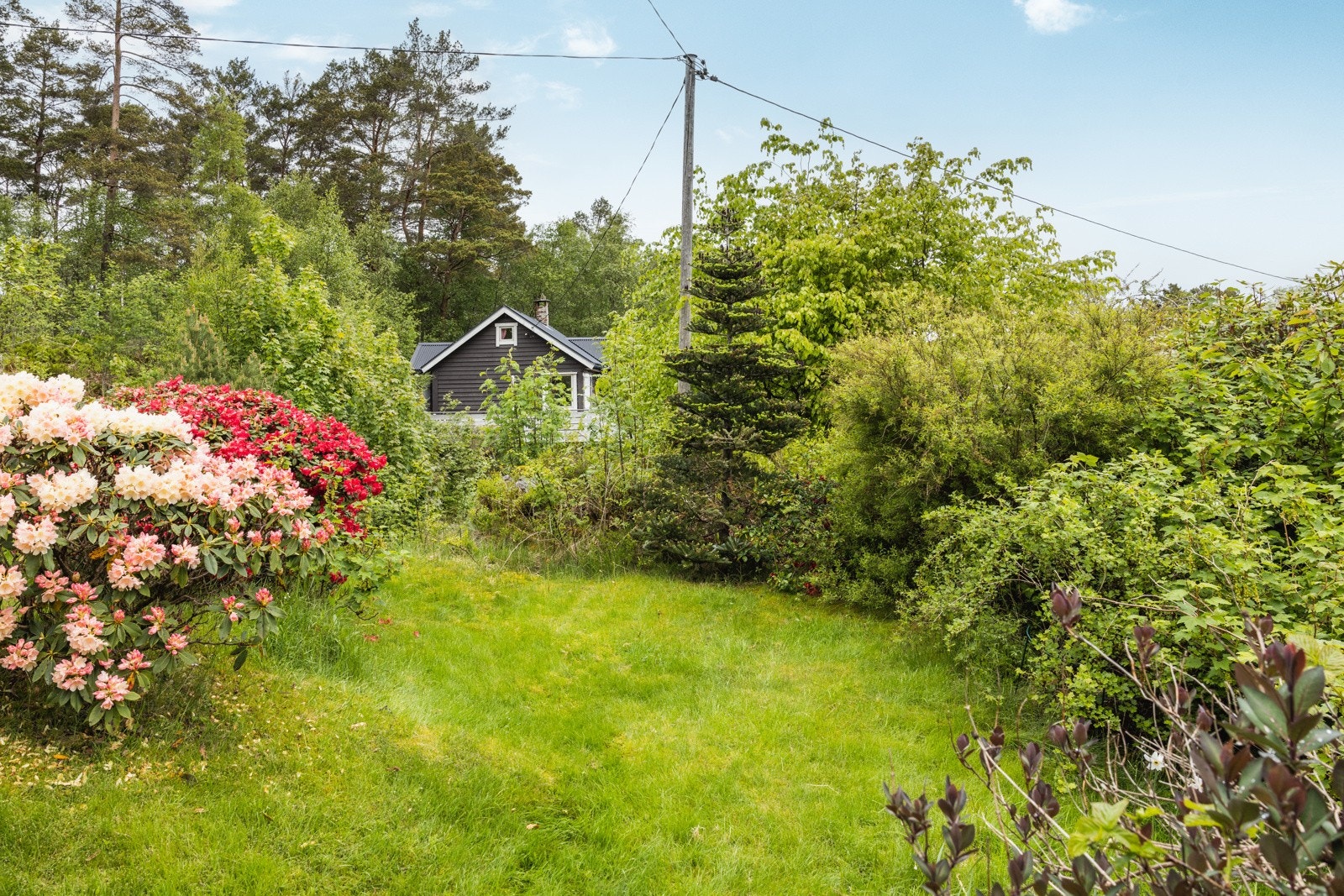 Området er pent opparbeidet og det er godt naboskap. Galleribilde