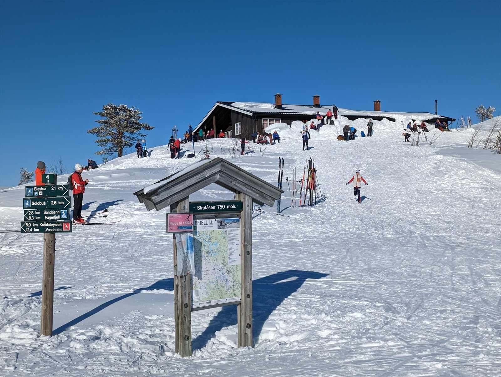 Strutåsen - et av de mest populære turmålene i nærområdet. Galleribilde