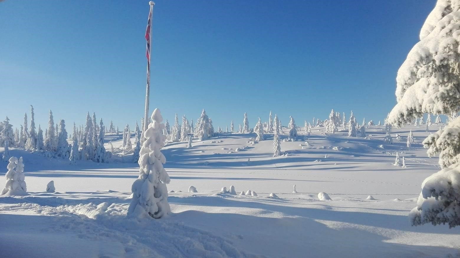 Privat vinterbilde fra området foran hytta, med snø på vannet. Galleribilde