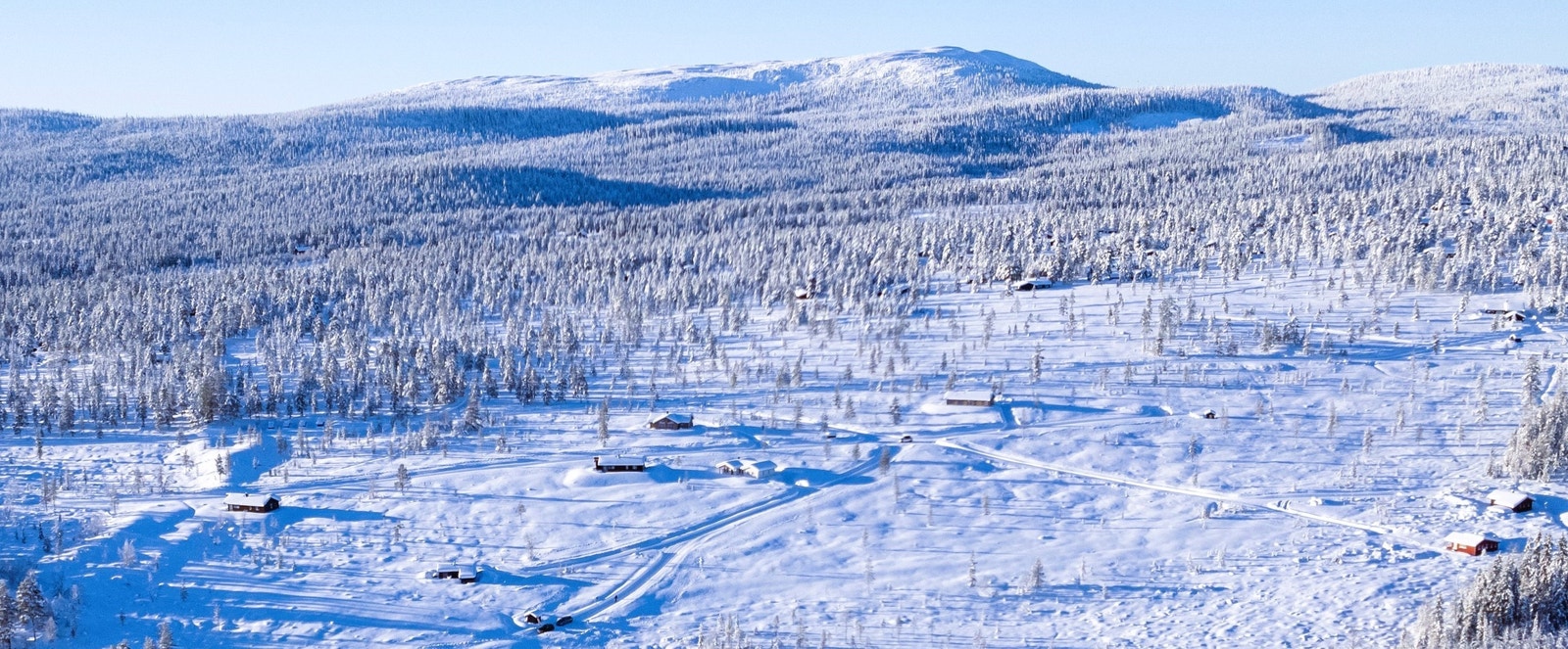 Eltdalskardet 1100 moh i bakgrunnen.
Hyttefeltet foran med store tomter og mye friområde ned mot Eltsjøen. Galleribilde
