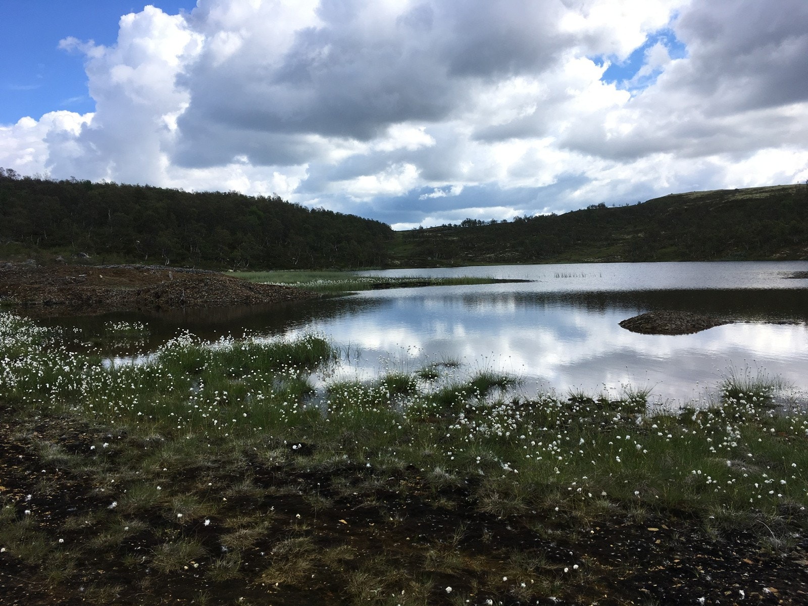 Området byr på flere fiske - og bademuligheter i både elv og små/store innsjøer og tjern. Galleribilde