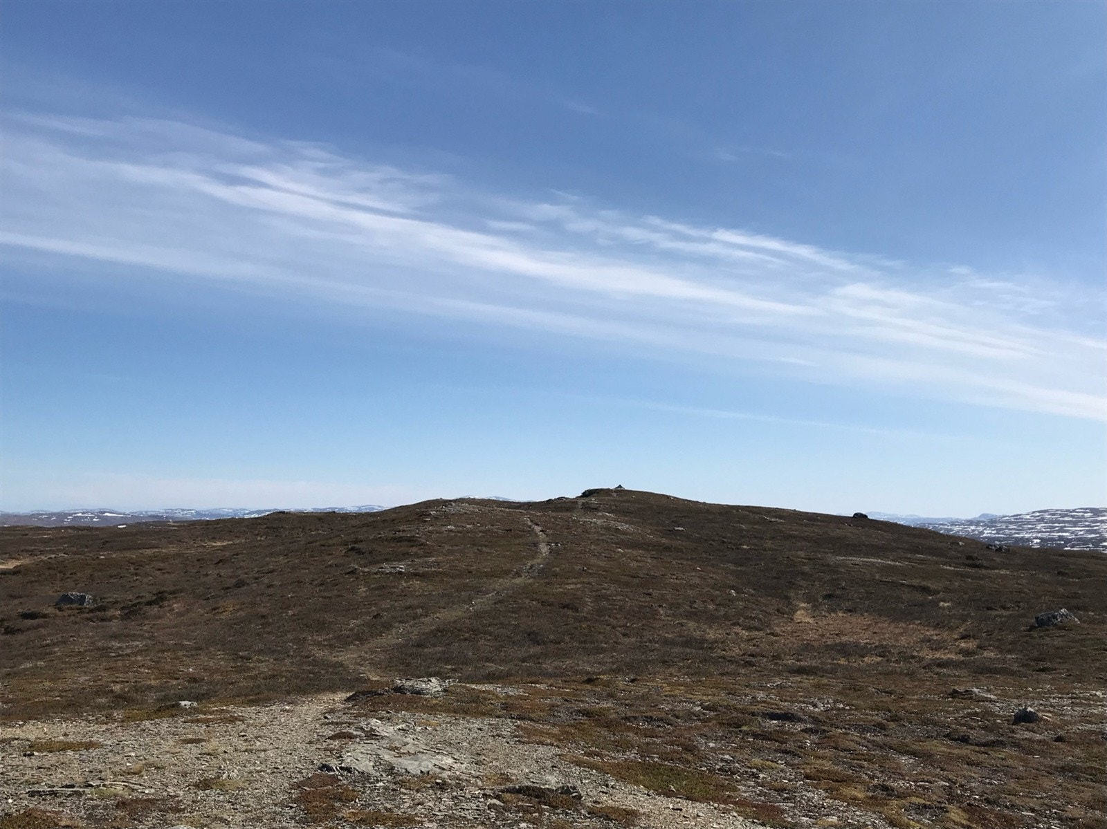 Med mange fine turstier og grusveier finner man et godt utvalg av turer. Galleribilde