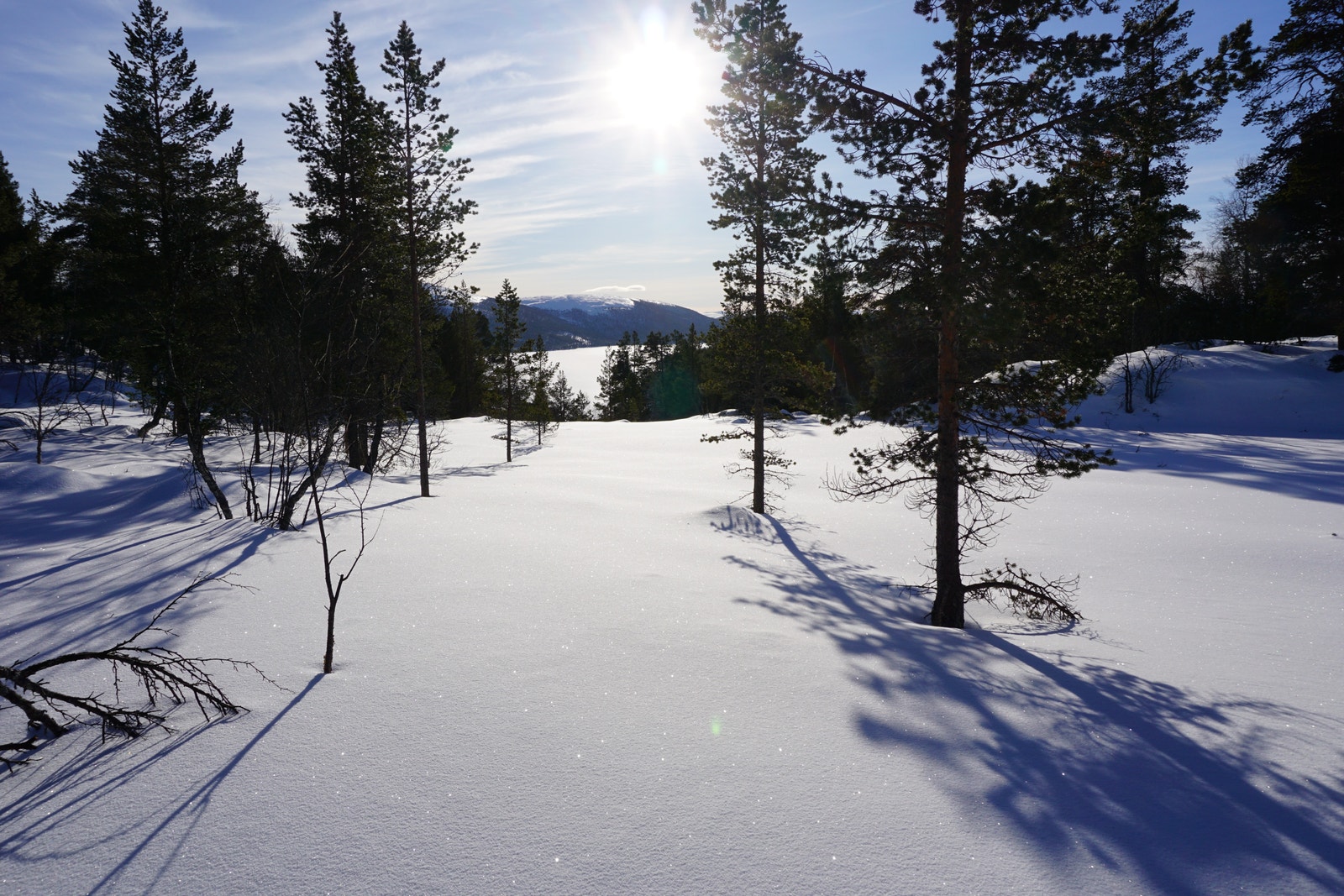 Utsikt fra adkomstveien til Savalkletten Fjellgrend Galleribilde