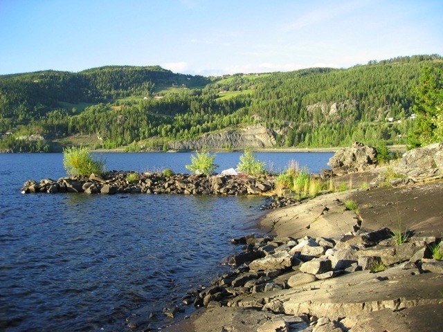 Områdebilde sommer Galleribilde