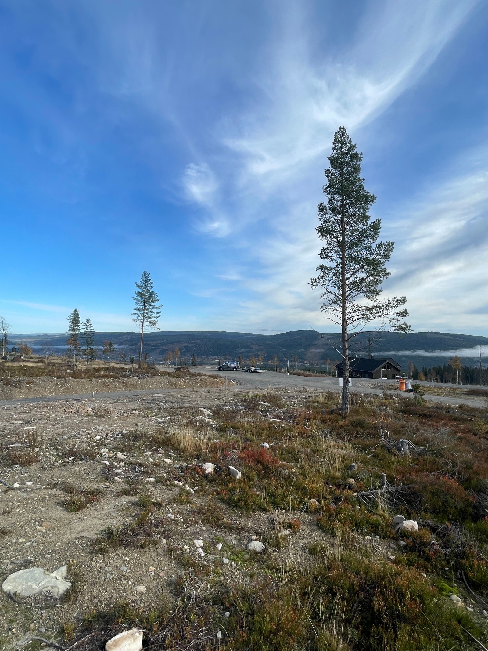 Bilde i fra tomten Galleribilde