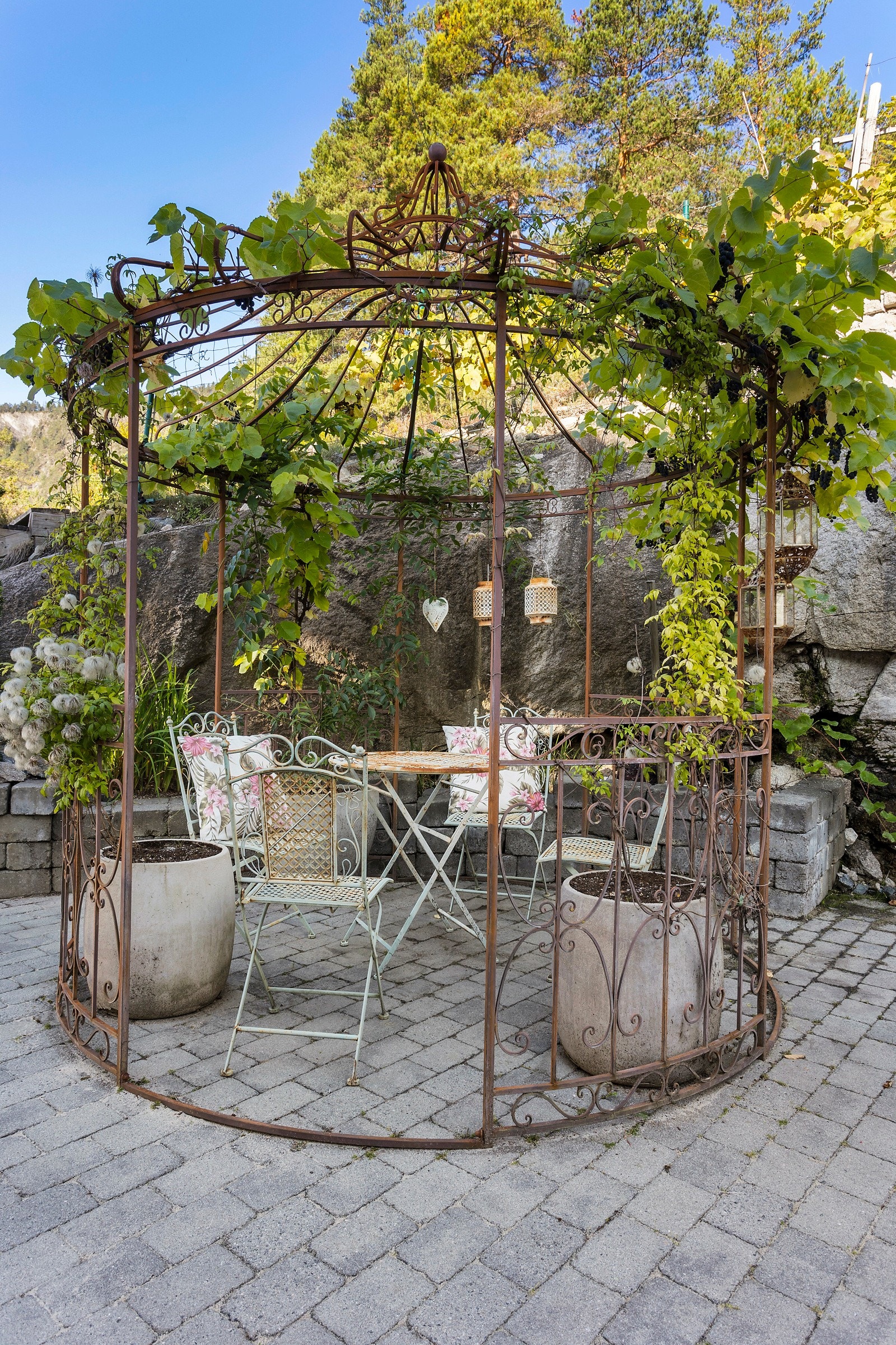 Pergola med druer er perfekt å Galleribilde