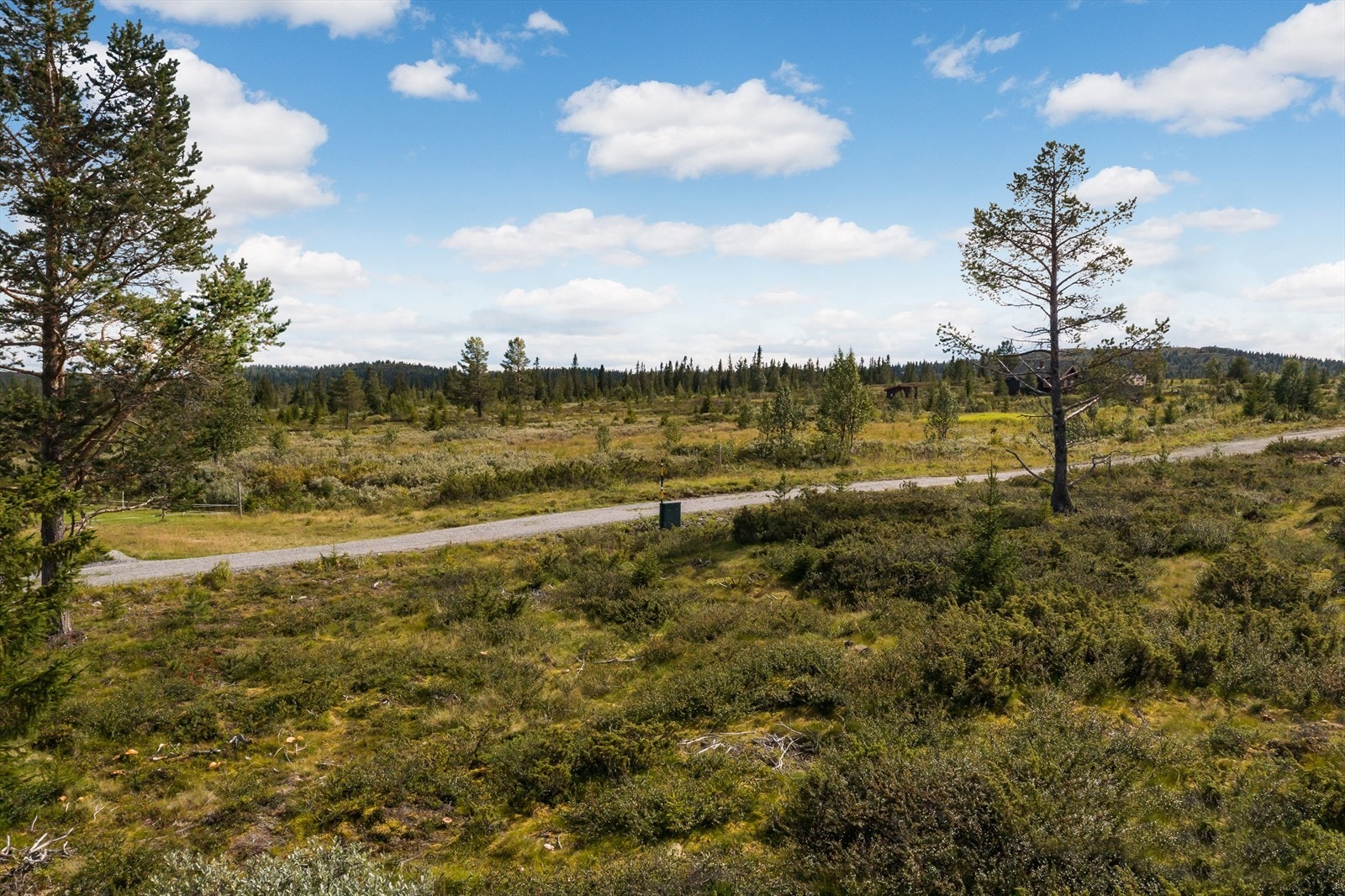 Ta gledelig kontakt med megler for mer informasjon om eiendommen. Galleribilde