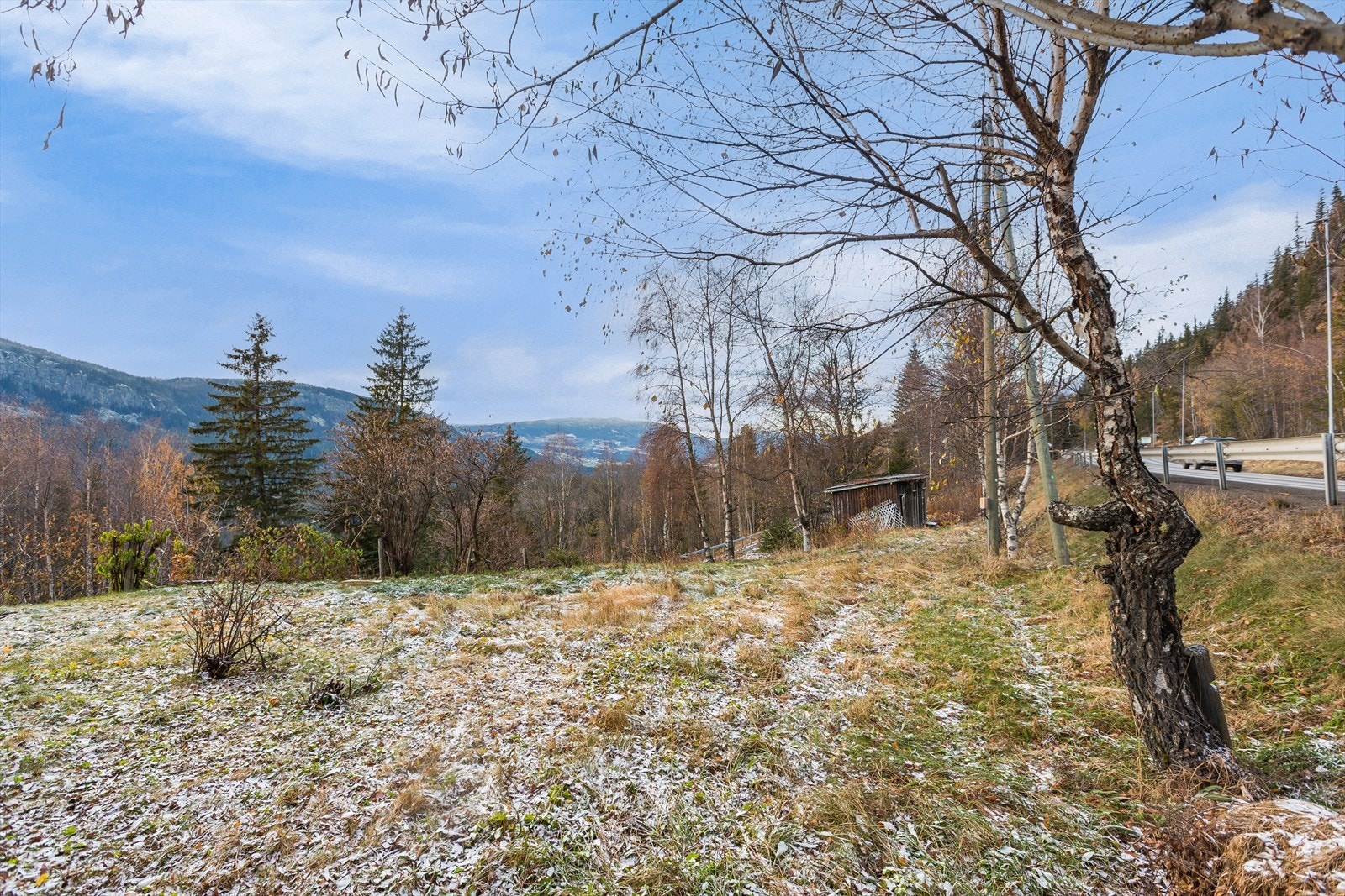 Romslig plen med uthus med bodrom. Galleribilde