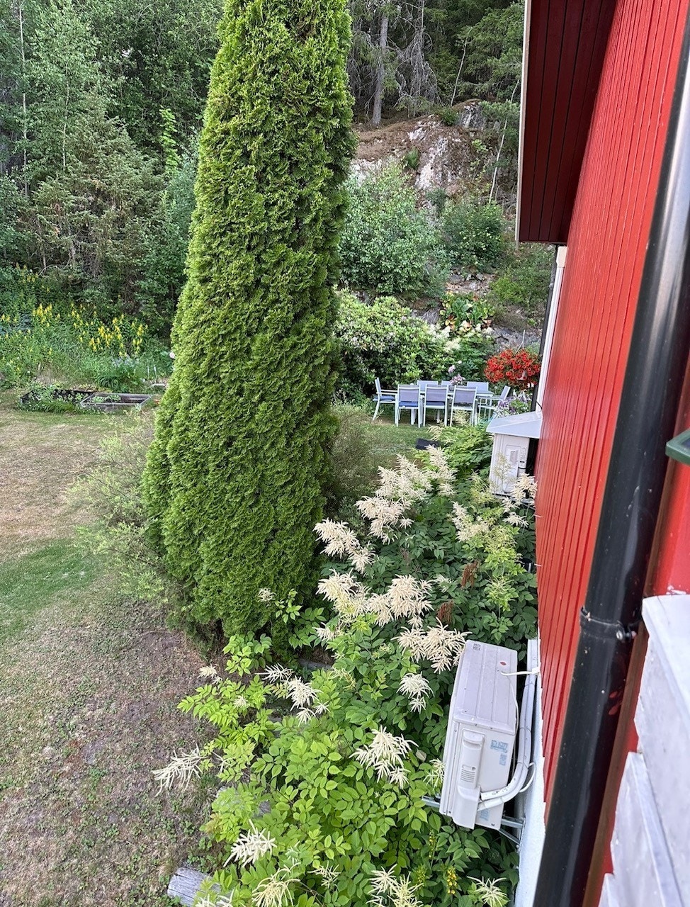 Hage sommer. Selgers egne bilder Galleribilde