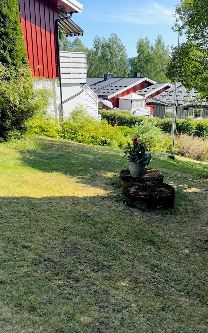 Hage sommer. Selgers egne bilder Galleribilde