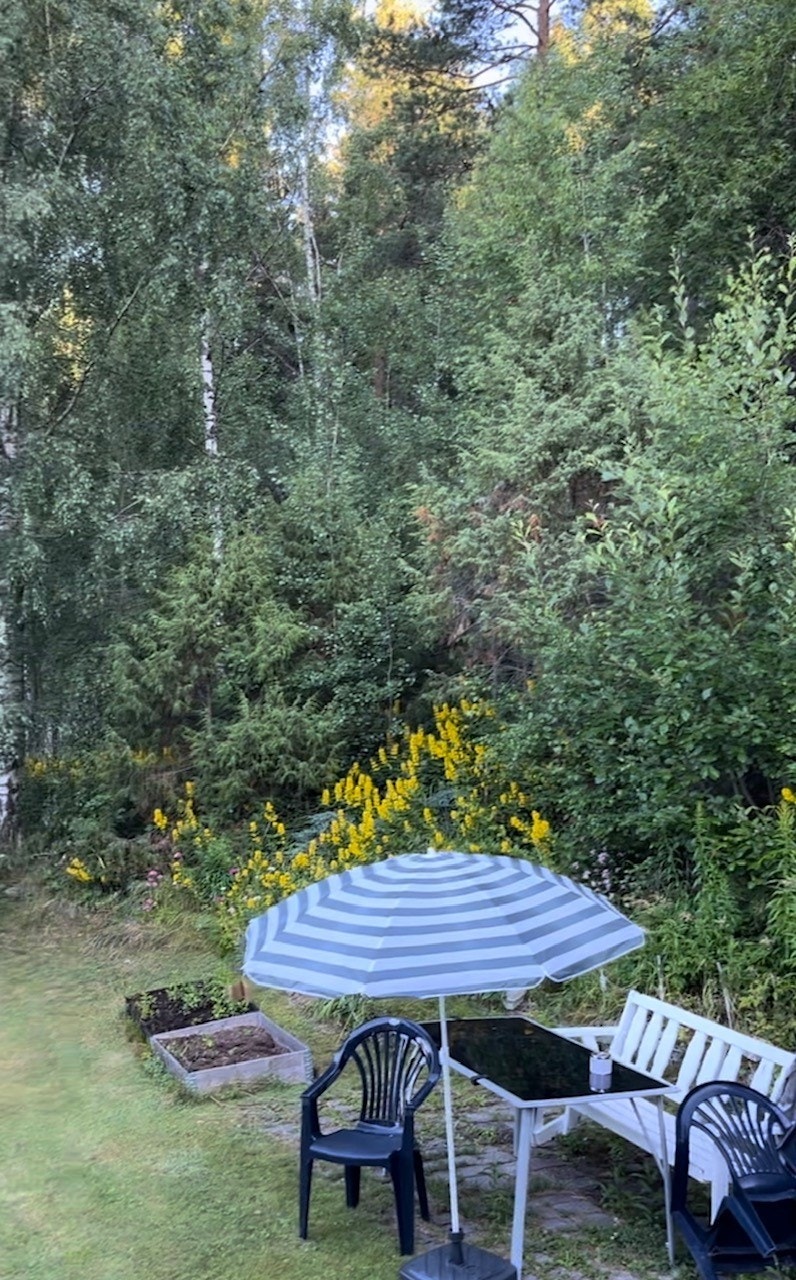 Hage sommer. Selgers egne bilder Galleribilde