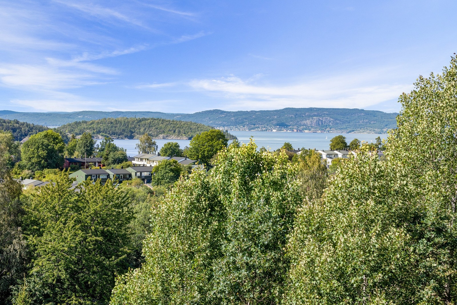 Frodig, grønt og idyllisk. Galleribilde