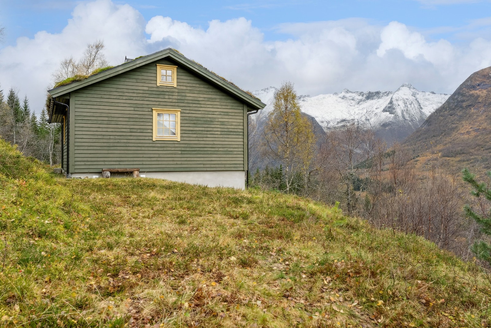 Fasade. Galleribilde