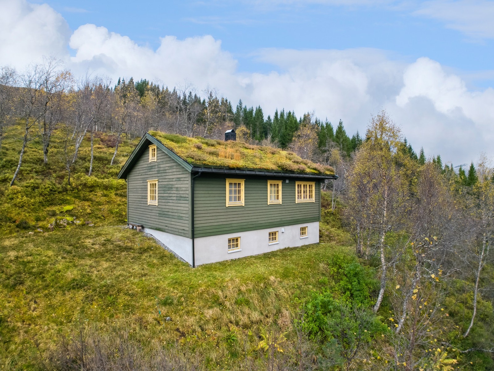 Hytten ligger flott til i et felt rolig hyttefelt. Galleribilde