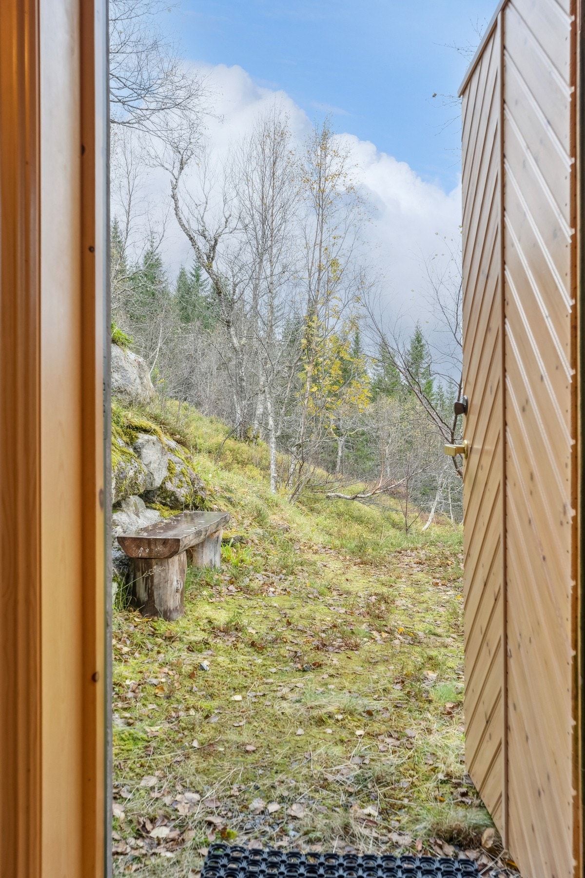 Inngangsdør. Galleribilde