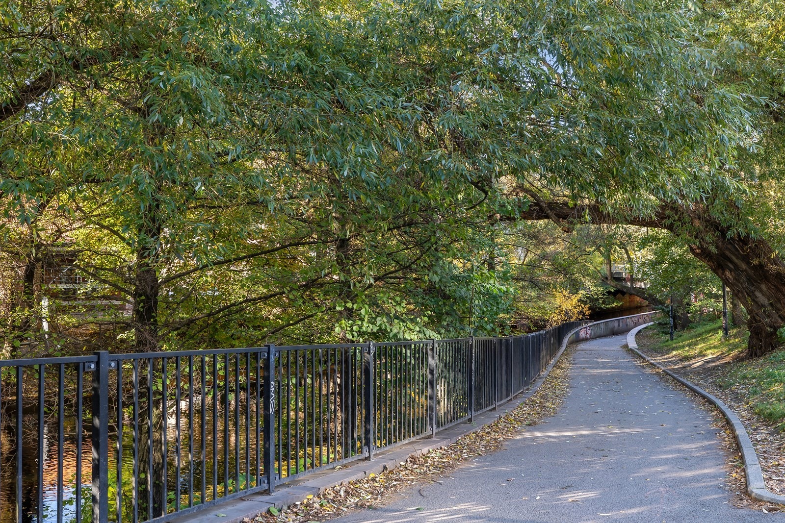 - Nærområdet - Galleribilde