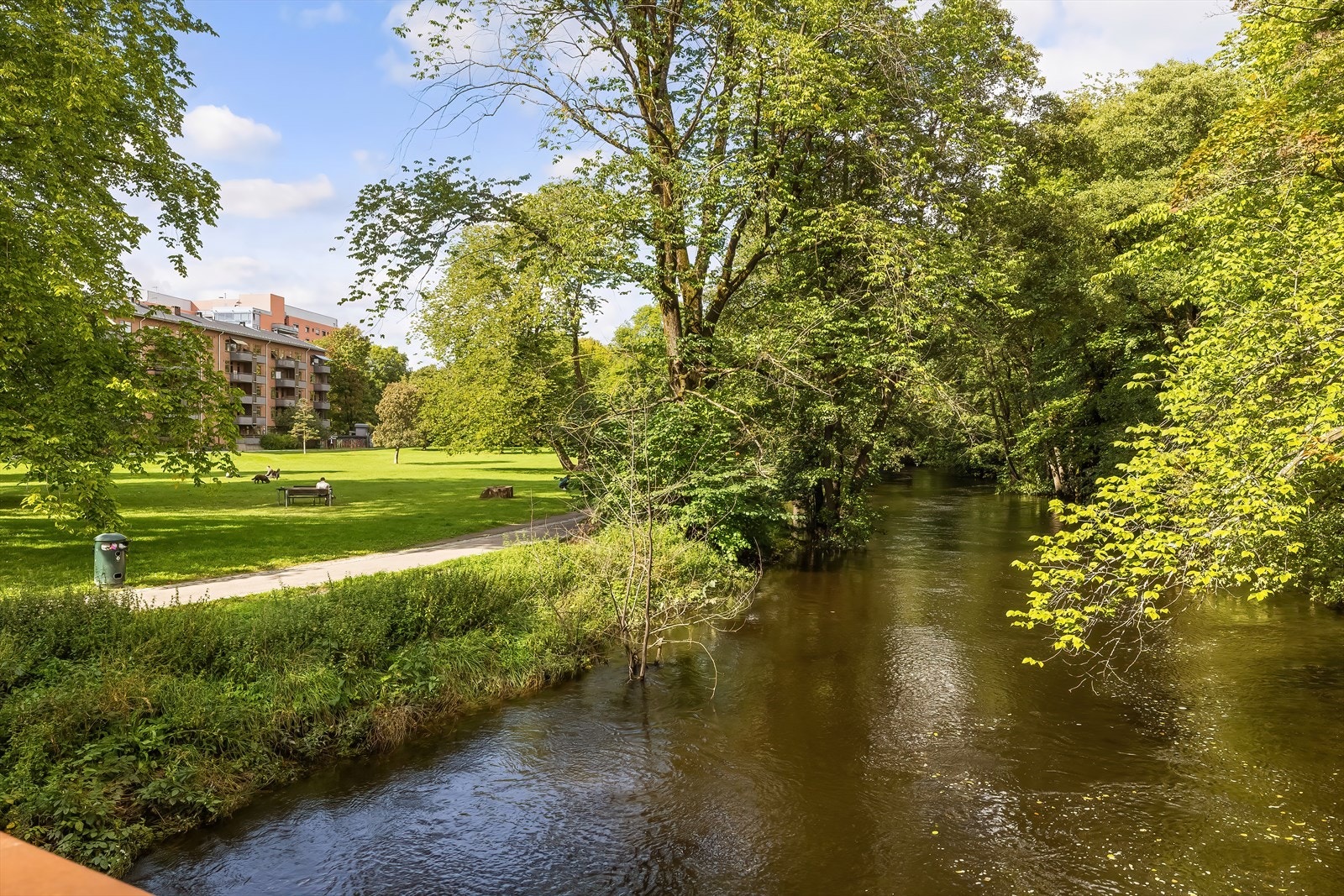 - Nærområdet - Galleribilde